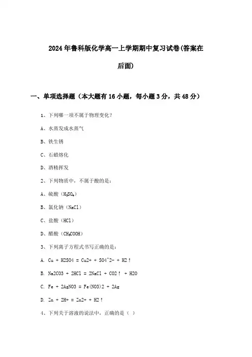 鲁科版化学高一上学期期中试卷及答案指导(2024年)