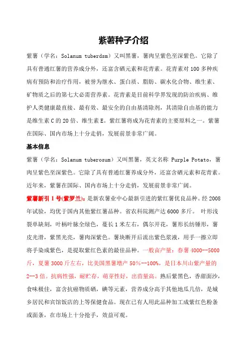 紫薯种子介绍