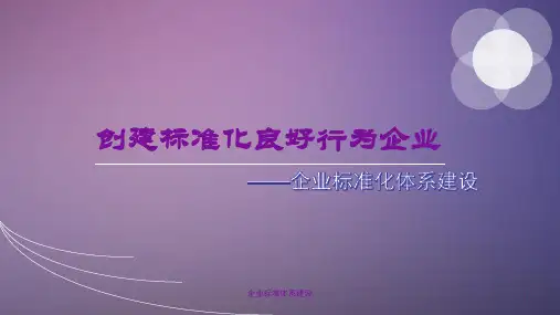 企业标准体系建设课件