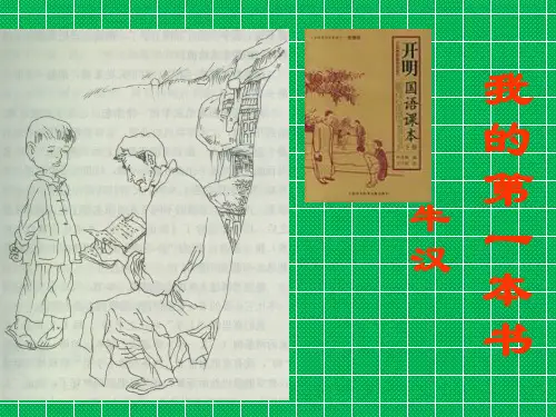 八年级语文下册第一单元3我的第一本书课件(新版)新人教版