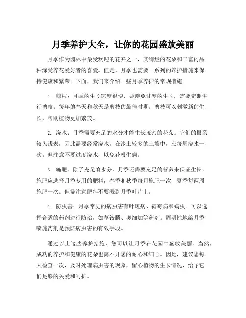 月季养护措施