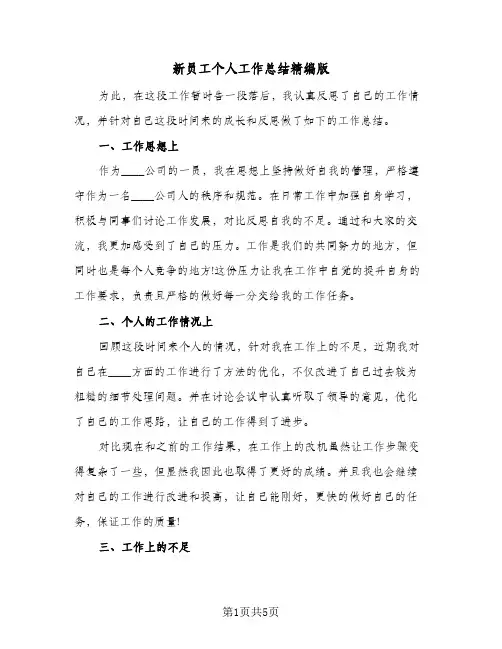 新员工个人工作总结精编版（3篇）