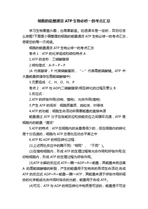 细胞的能量通货ATP生物必修一的考点汇总
