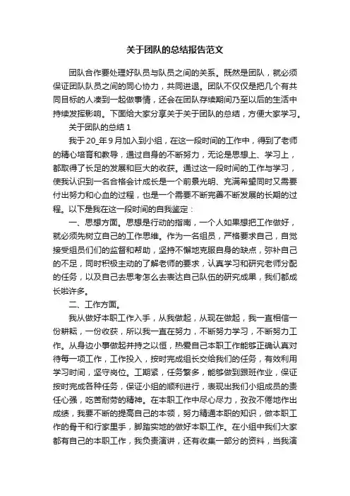 关于团队的总结报告范文