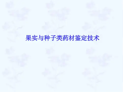 果实及种子类中药鉴定技术.ppt