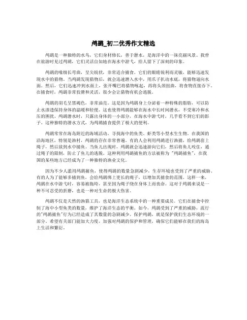 鸬鹚_初二优秀作文精选