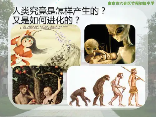 第四节人类的起源和进化课件(苏教版)