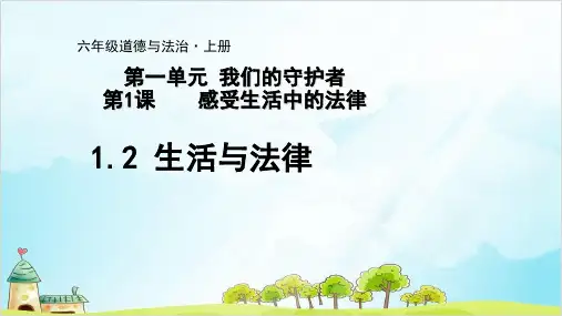 六年级上道德与法治课件PPT 生活与法律 人教新版【新部编版】