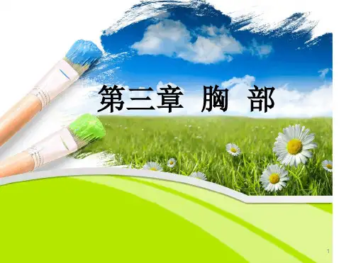 局部解剖学胸部ppt课件