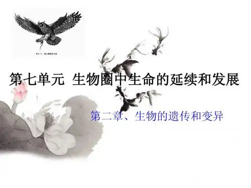 第七单元：第二章、生物的遗传和变异(共20张PPT)