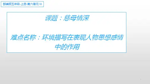 五年级语文上册课件-18.慈母情深20-部编版
