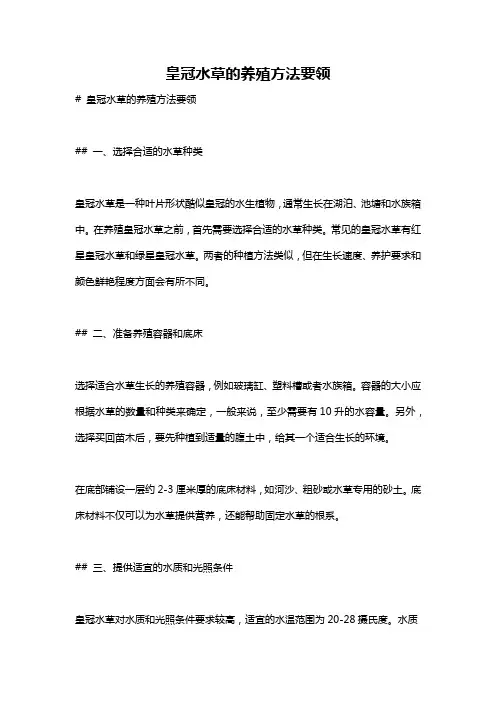皇冠水草的养殖方法要领
