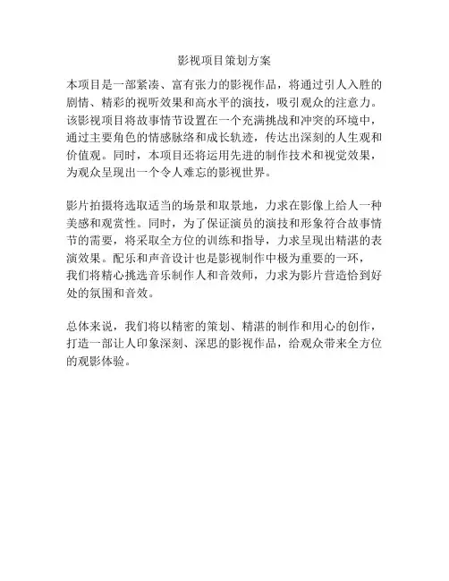 影视项目策划方案