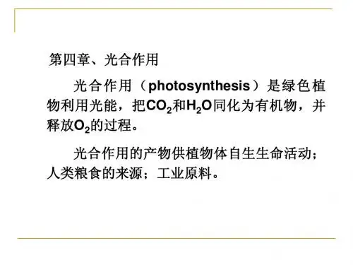 第四章 光合作用