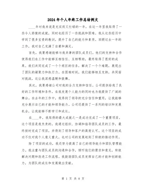 2024年个人年终工作总结例文(四篇)