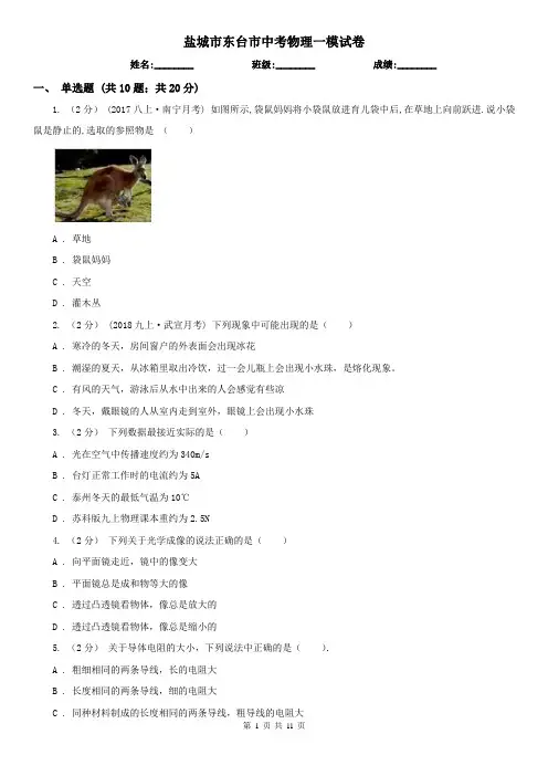 盐城市东台市中考物理一模试卷