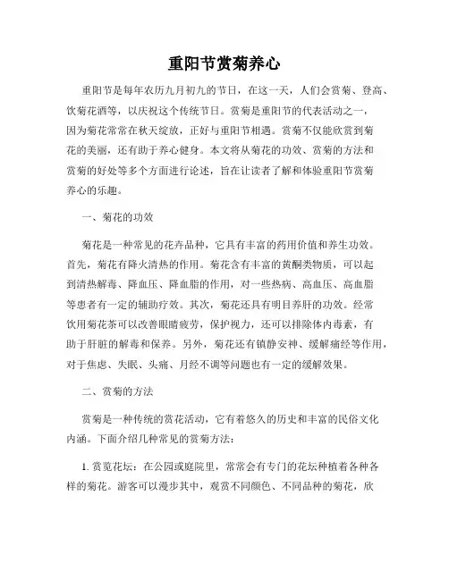 重阳节赏菊养心