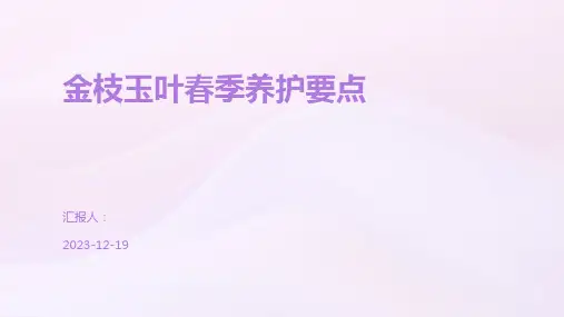 金枝玉叶春季养护要点