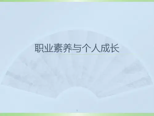 职业化素养PPT课件