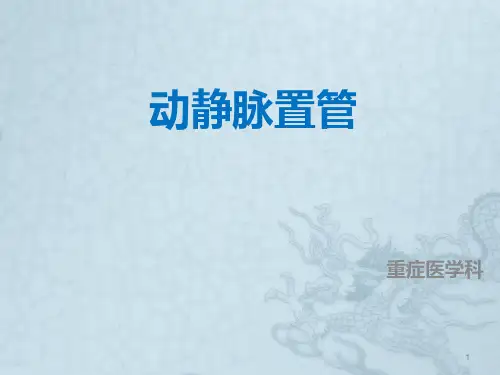 动静脉置管讲解PPT课件