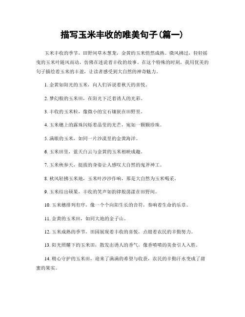 描写玉米丰收的唯美句子(精选两篇)