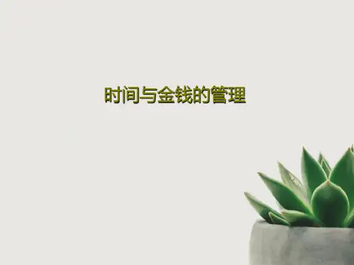 时间与金钱的管理共29页文档