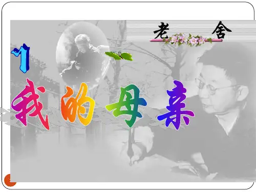 老舍《我的母亲》ppt课件
