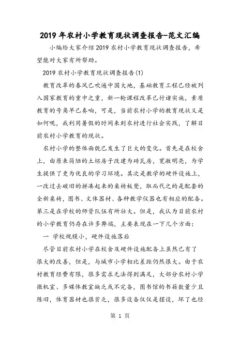 2019年农村小学教育现状调查报告精品教育.doc