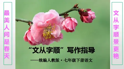 第五单元写作《文从字顺》课件(共24张ppt)   2022-2023学年部编版语文七年级下册