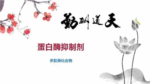 蛋白酶抑制剂