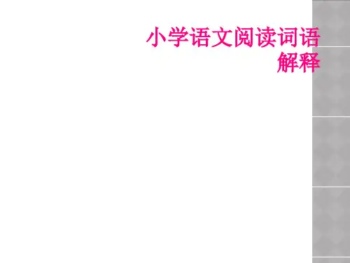 小学语文阅读词语解释