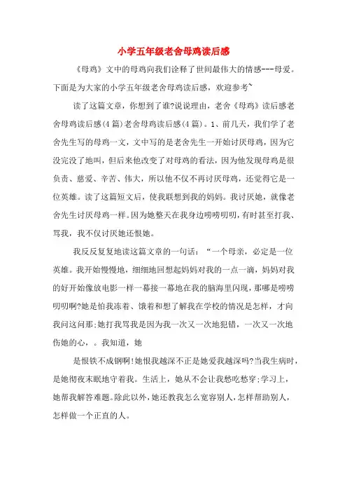 小学五年级老舍母鸡读后感