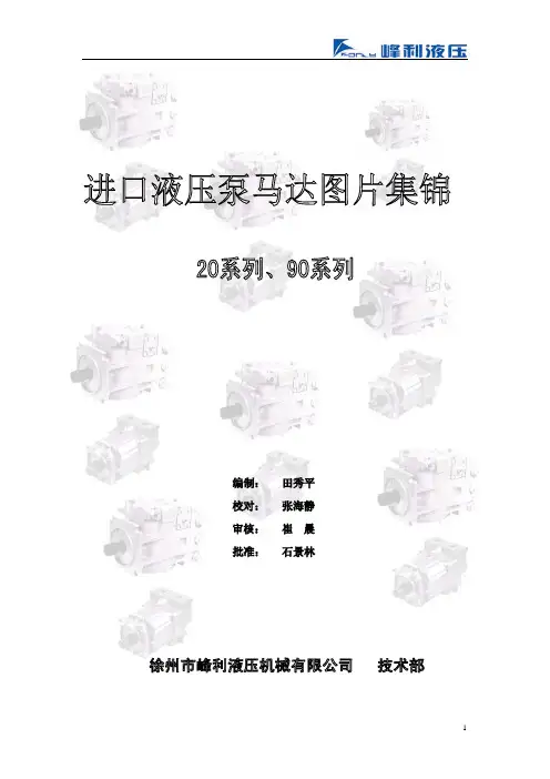 20-90系列泵马达图片系列文件