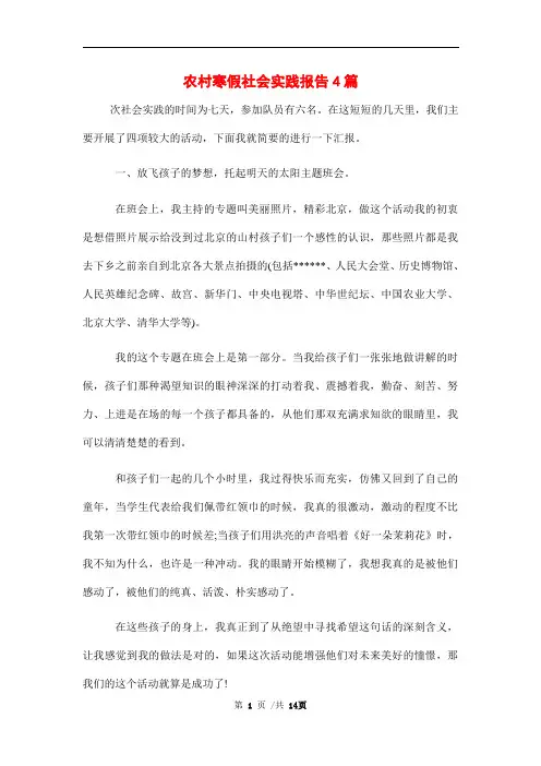农村寒假社会实践报告4篇范文