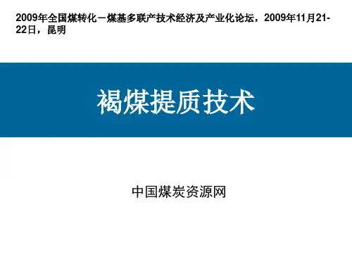 褐煤提质技术