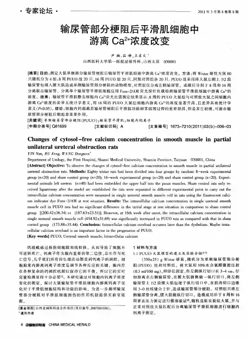 输尿管部分梗阻后平滑肌细胞中游离Ca 2+浓度改变