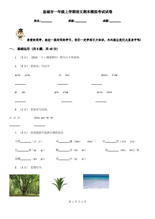 盐城市一年级上学期语文期末模拟考试试卷
