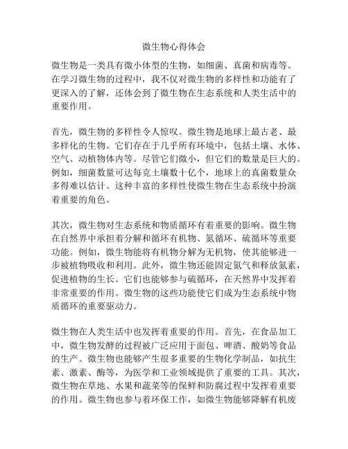 微生物心得体会