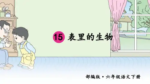 统编部编版六年级语文下册第16课《表里的生物》优质课件
