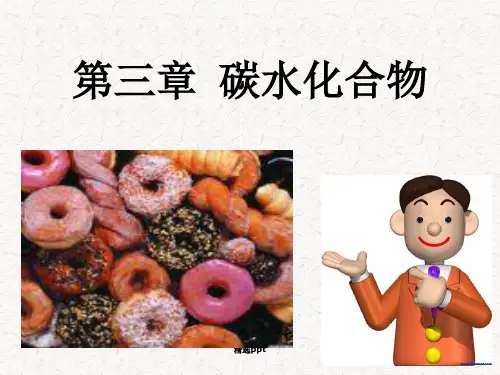 食品化学 碳水化合物ppt课件