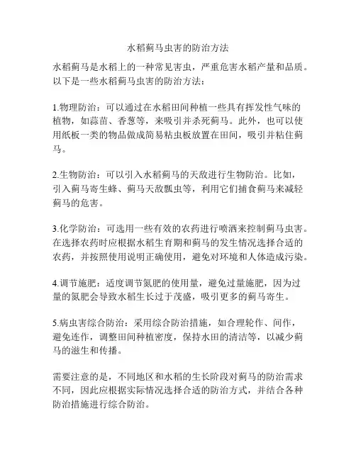水稻蓟马虫害的防治方法