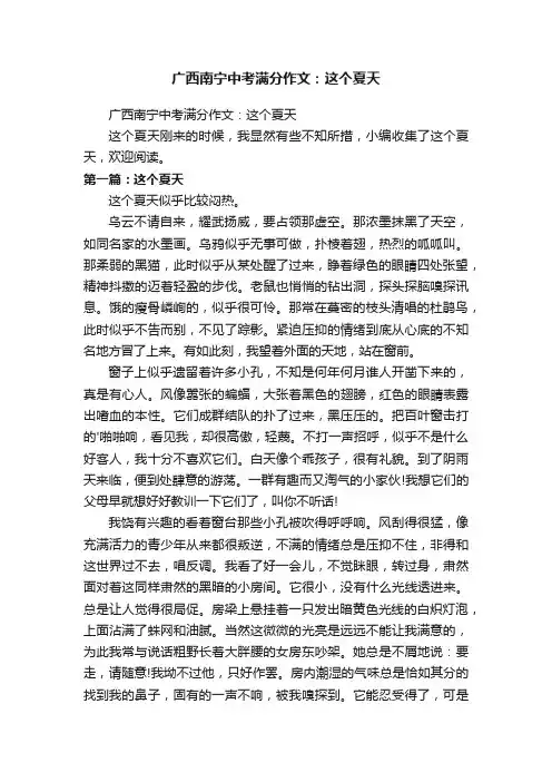 广西南宁中考满分作文：这个夏天