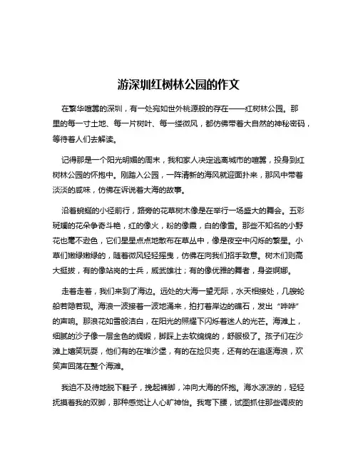 游深圳红树林公园的作文