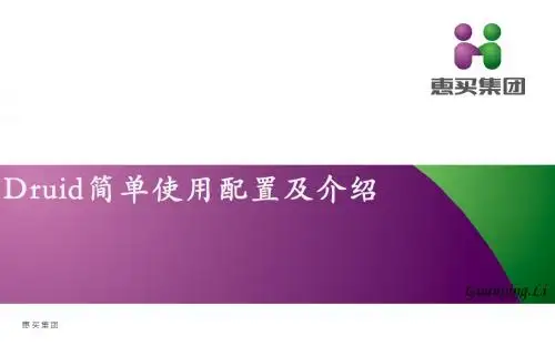 Druid简单使用配置及其介绍资料
