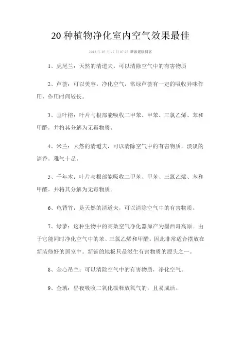 20种植物净化室内空气效果最佳