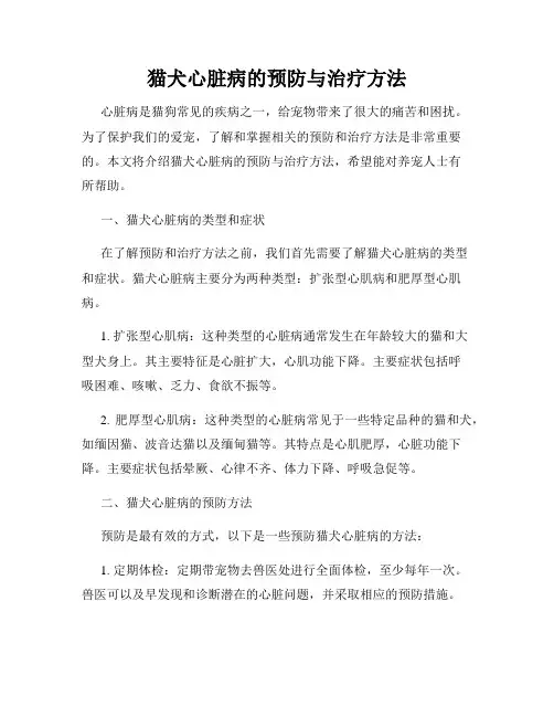 猫犬心脏病的预防与治疗方法