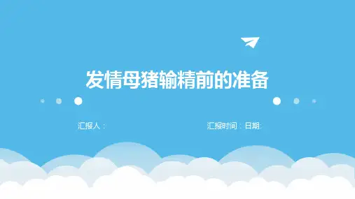 发情母猪输精前的准备