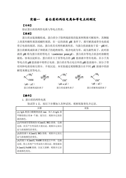 实验一   蛋白质的两性电离和等电点的测定