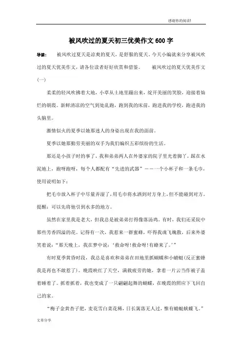 被风吹过的夏天初三优美作文600字