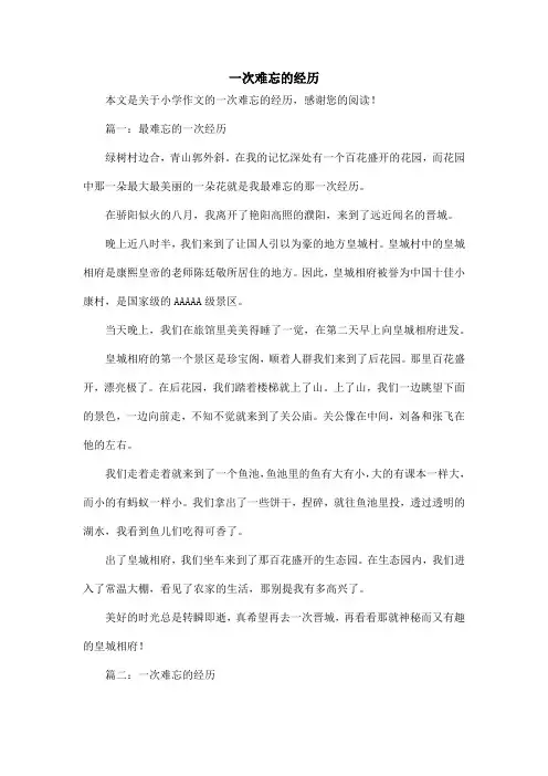 一次难忘的经历_小学作文